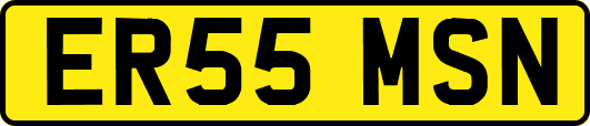 ER55MSN