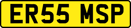 ER55MSP