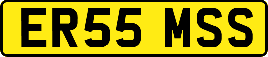 ER55MSS