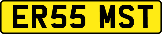 ER55MST