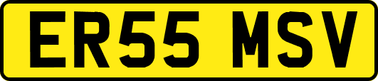 ER55MSV