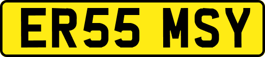 ER55MSY