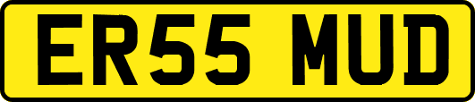 ER55MUD