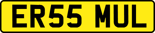 ER55MUL
