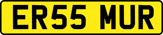 ER55MUR