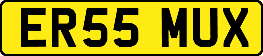 ER55MUX