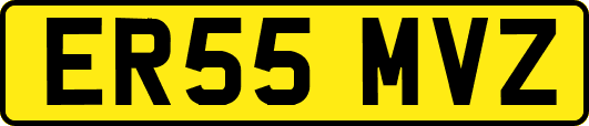 ER55MVZ