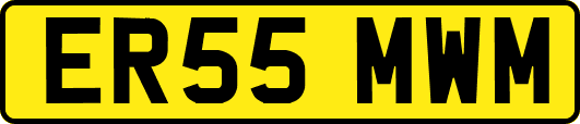 ER55MWM