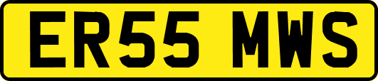 ER55MWS