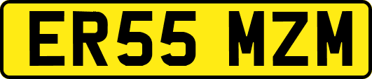 ER55MZM
