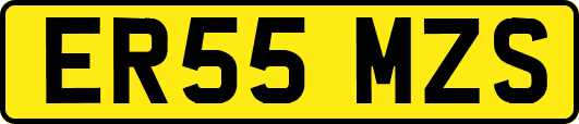ER55MZS