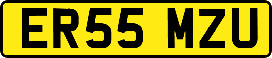ER55MZU