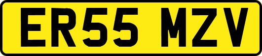 ER55MZV