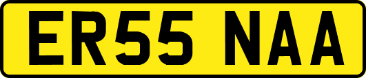 ER55NAA