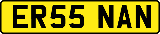 ER55NAN