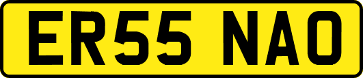 ER55NAO