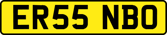 ER55NBO