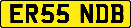 ER55NDB