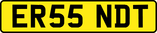 ER55NDT