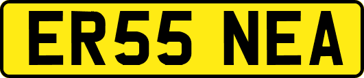 ER55NEA