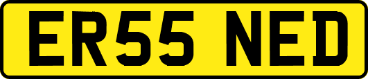 ER55NED