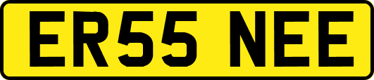 ER55NEE