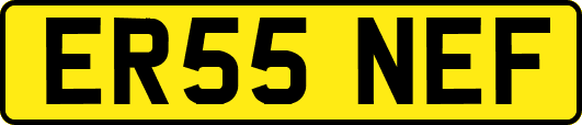 ER55NEF