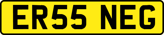ER55NEG