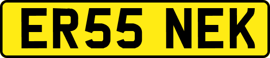 ER55NEK