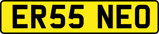 ER55NEO