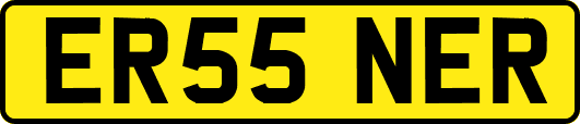 ER55NER