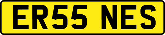 ER55NES