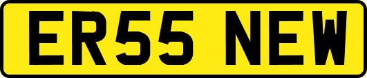 ER55NEW
