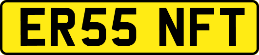 ER55NFT