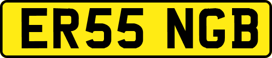 ER55NGB