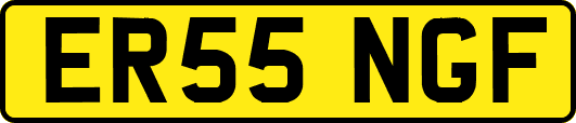 ER55NGF