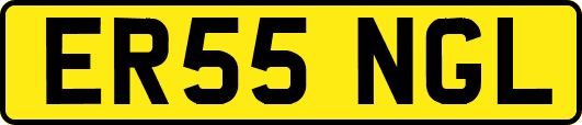 ER55NGL