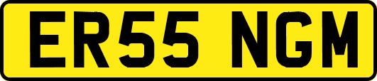 ER55NGM