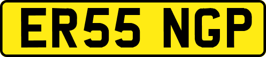ER55NGP