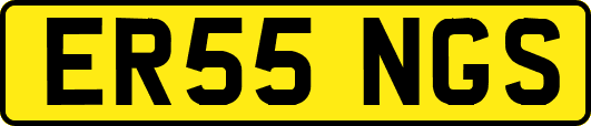 ER55NGS