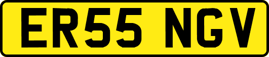 ER55NGV