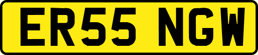 ER55NGW