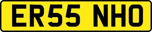 ER55NHO