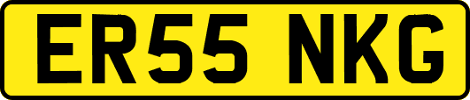 ER55NKG