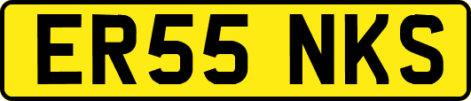 ER55NKS