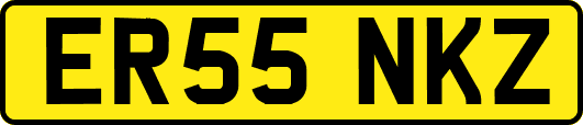 ER55NKZ