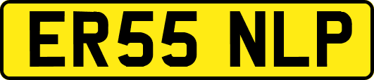 ER55NLP