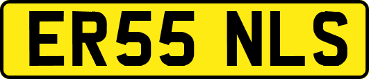 ER55NLS
