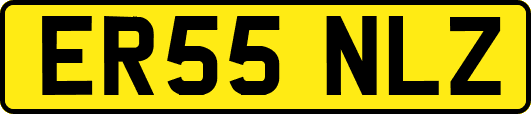 ER55NLZ