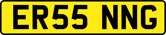 ER55NNG